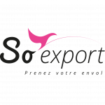 So export logo edited